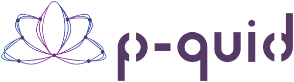 Logo p-quid